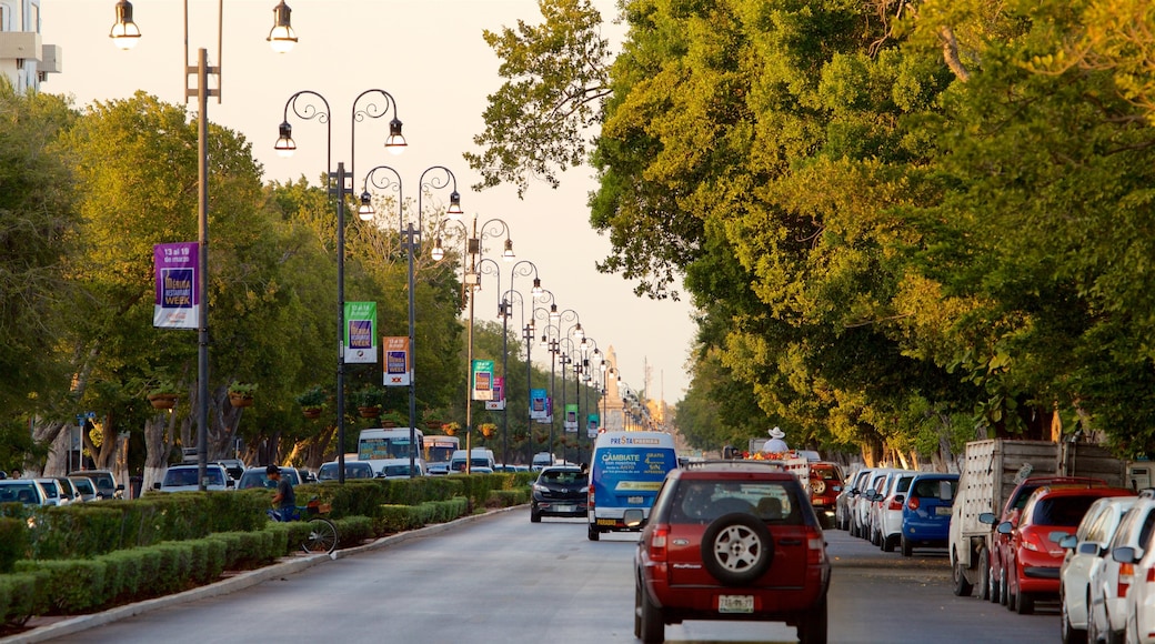 Paseo de Montejo featuring a sunset