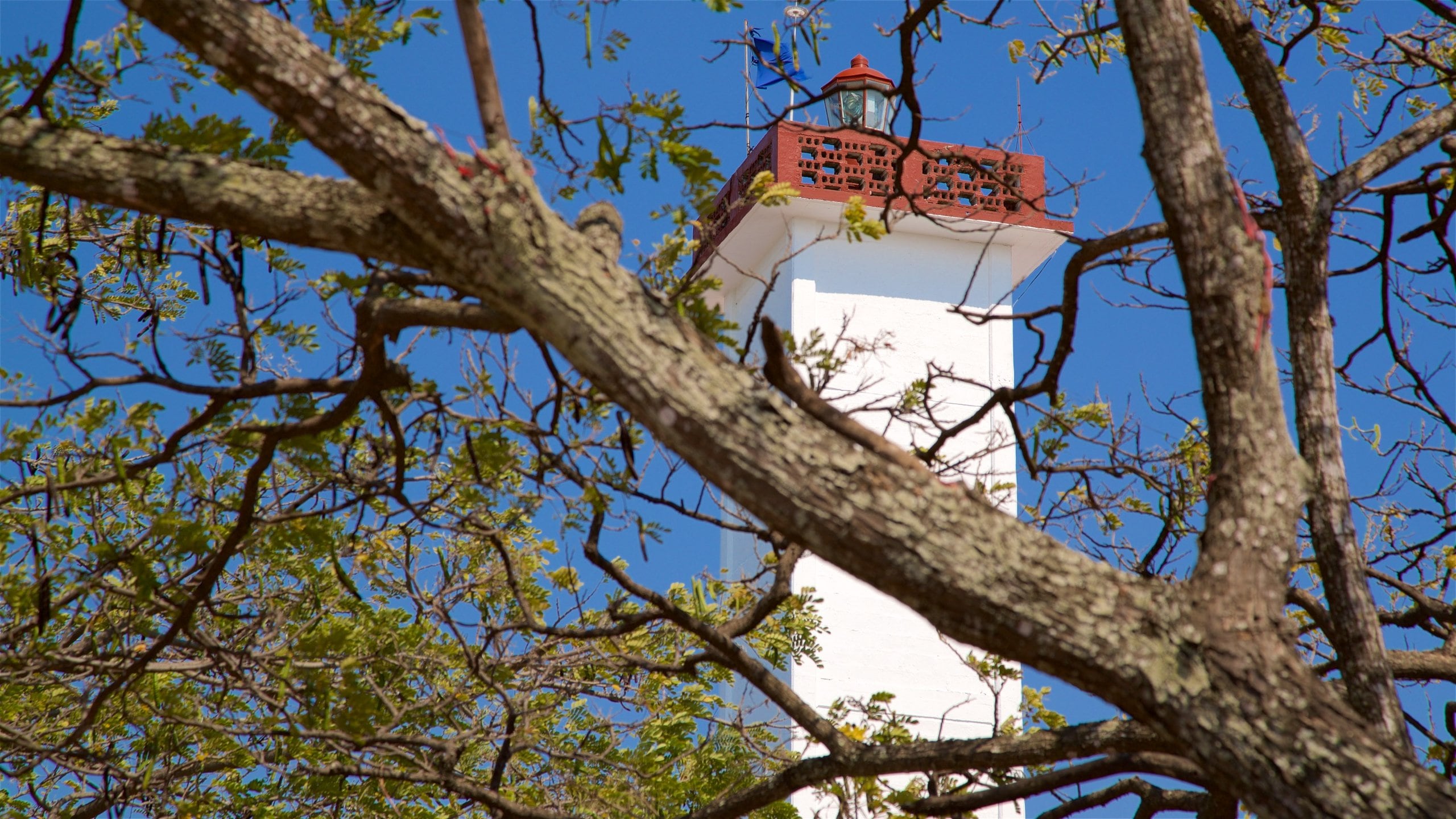 Champoton featuring a lighthouse