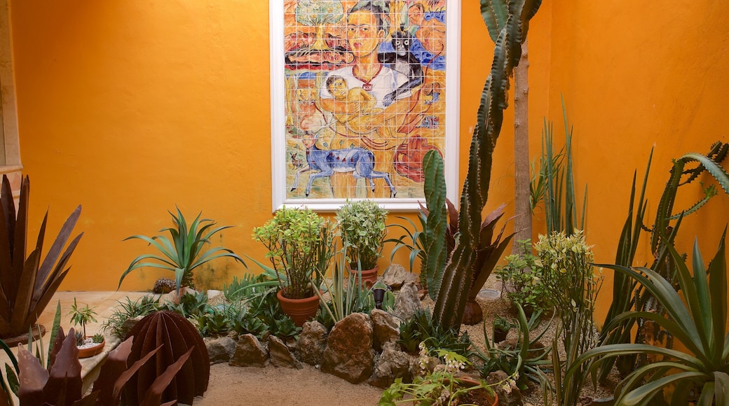 Casa de los Venados bevat interieur, kunst en een tuin