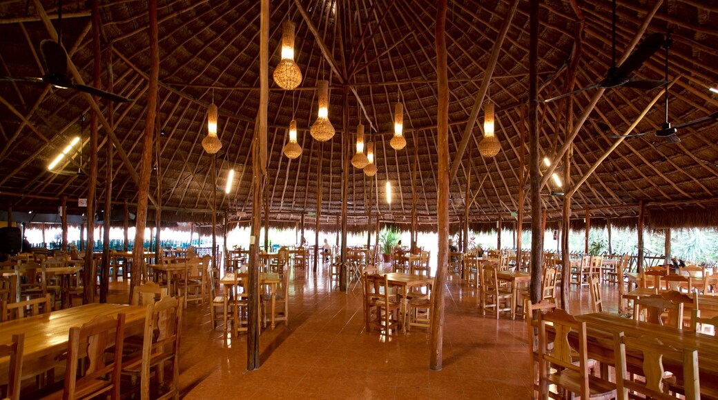 Cenote Zaci which includes interior views and dining out