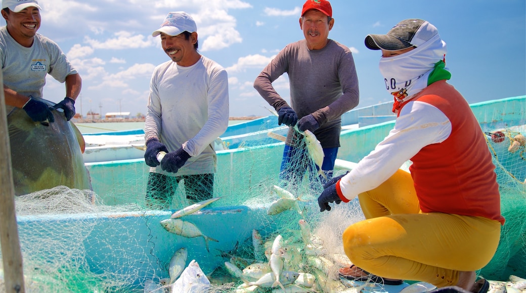 Seybaplaya ofreciendo pesca y también un pequeño grupo de personas