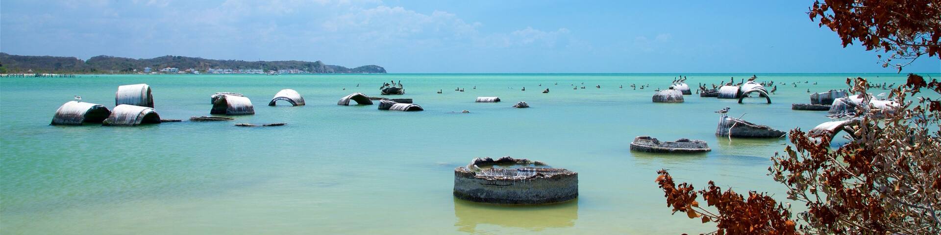 Siho Playa featuring tropical scenes and general coastal views