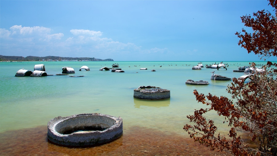 Siho Playa showing general coastal views and tropical scenes