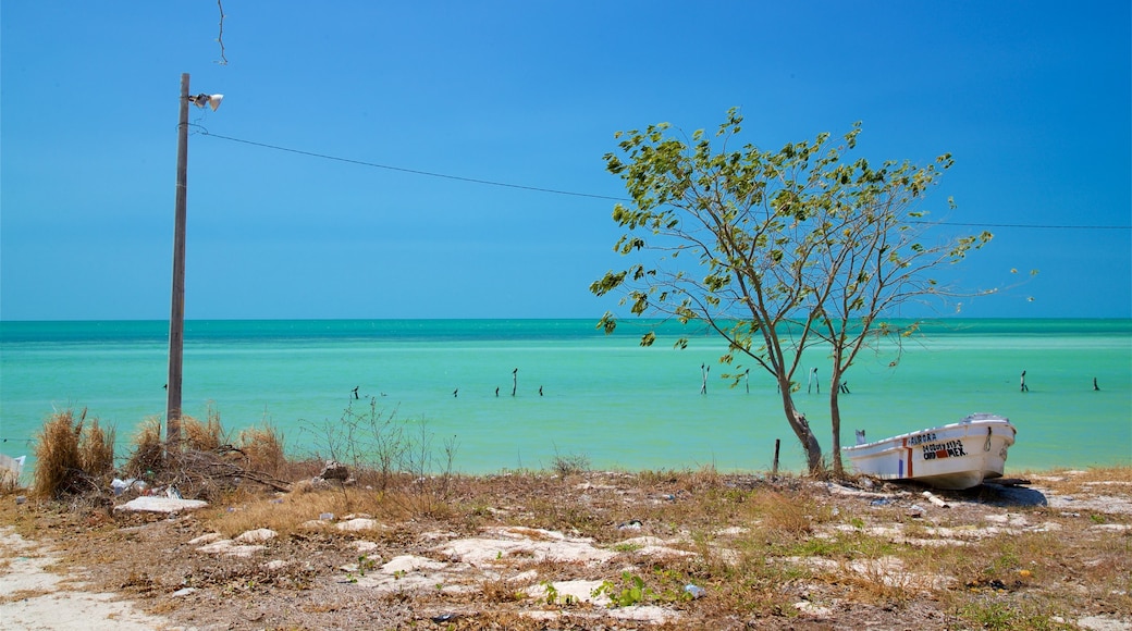 Siho Playa featuring tropical scenes and general coastal views