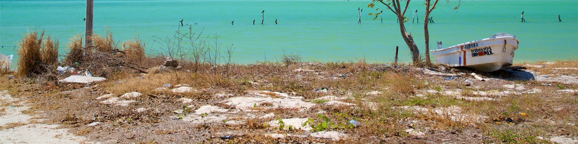 Siho Playa featuring tropical scenes and general coastal views