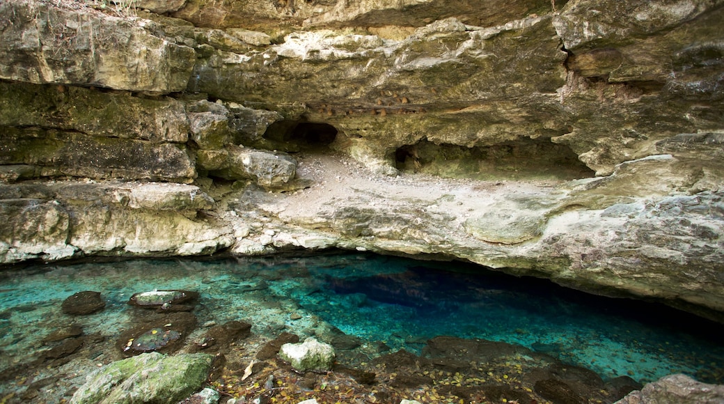 สระมรกต Cenote X\'batun แสดง ทะเลสาบหรือแอ่งน้ำ