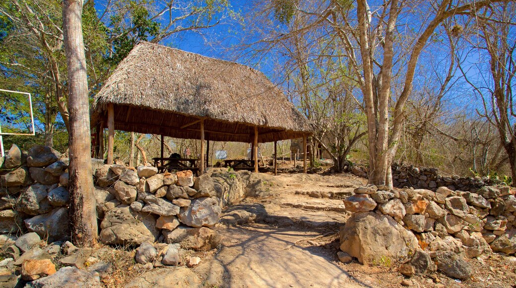 Cenote X\'batun showing a park