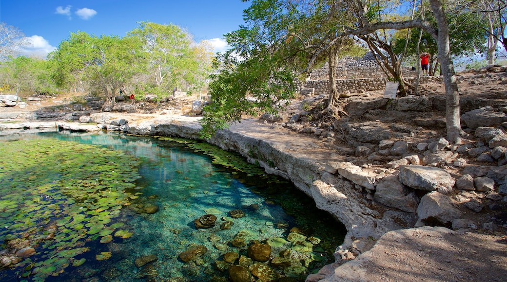 Dzibilchaltun Ruins showing a pond