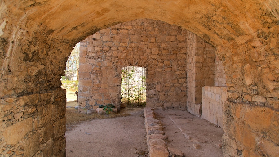 Rovine di Dzibilchaltún che include vista interna e oggetti d\'epoca