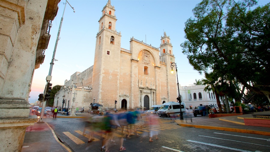 Cattedrale di Mérida che include chiesa o cattedrale, architettura d\'epoca e tramonto