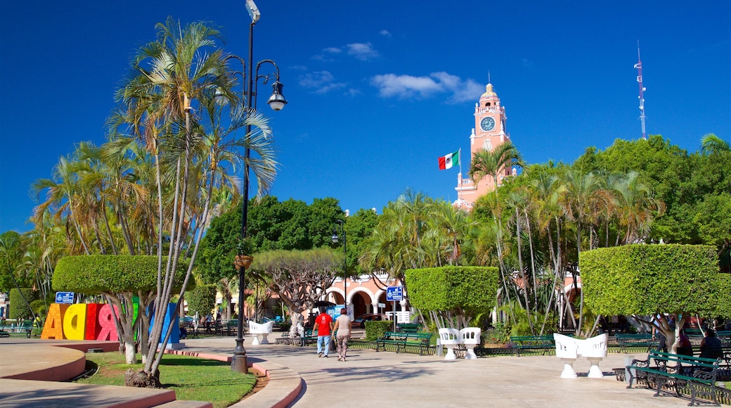 Plaza Grande showing a park