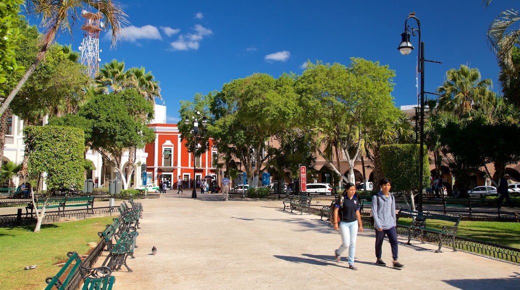 Plaza Grande montrant jardin aussi bien que couple