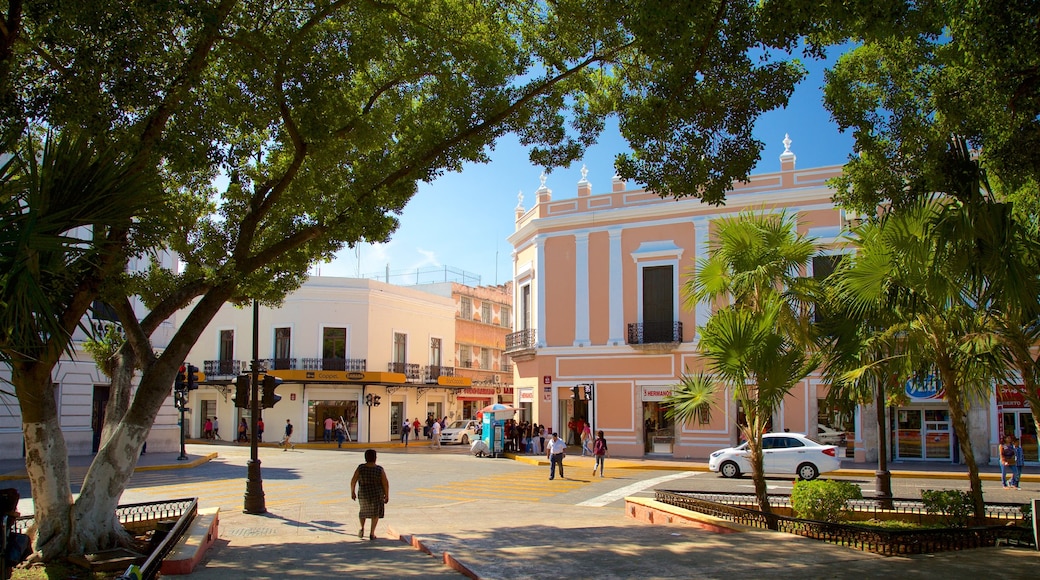 Plaza Grande