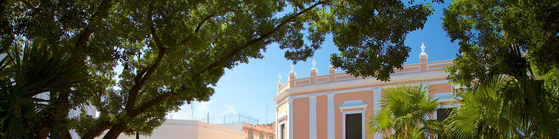 Plaza Grande