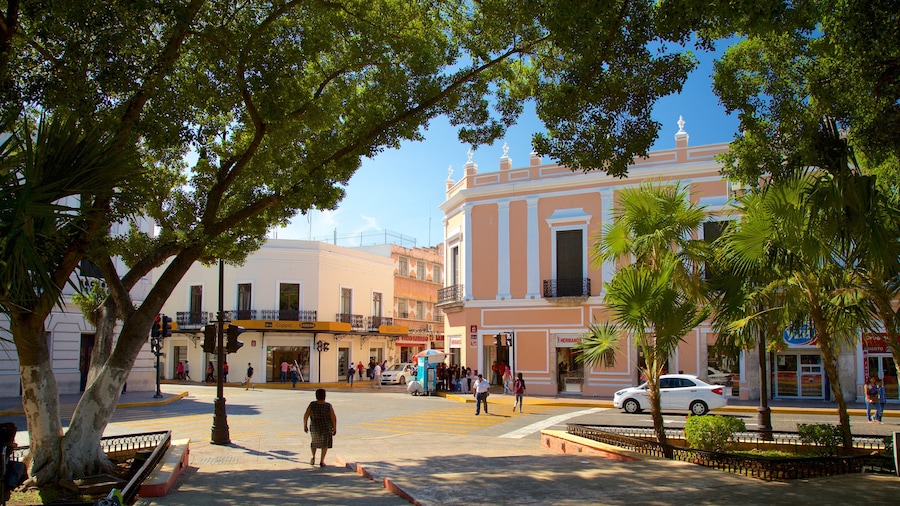 Plaza Grande