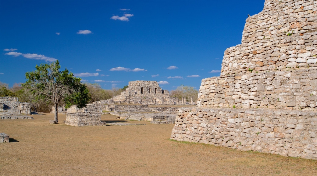 Mayaruïnes van Mayapán bevat historische architectuur