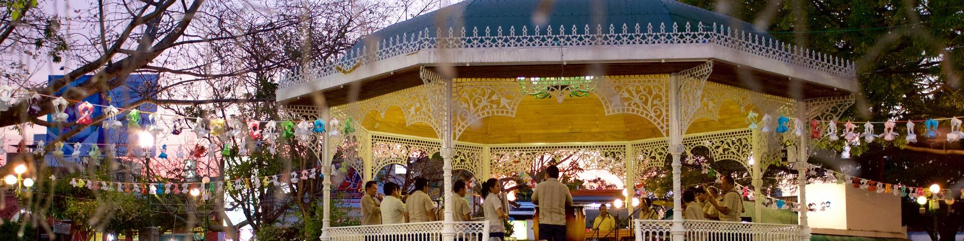 Marimba Park showing a park, street performance and a sunset