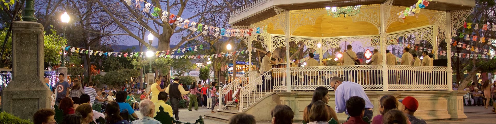Marimba Park showing a park, street performance and night scenes