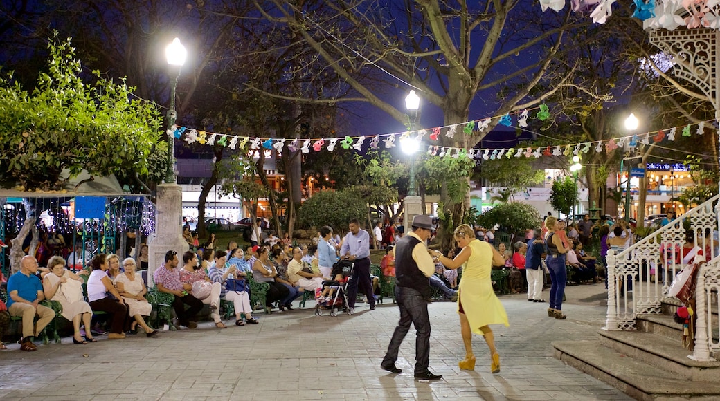 Parque de la Marimba que incluye escenas nocturnas, un jardín y actuación callejera