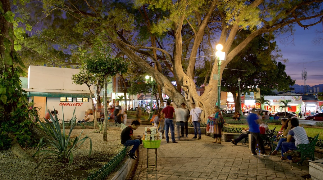 Marimba Park which includes a garden and night scenes as well as a small group of people