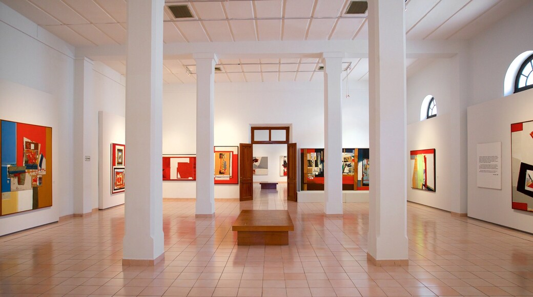 Museo Macay mostrando arte e vista interna