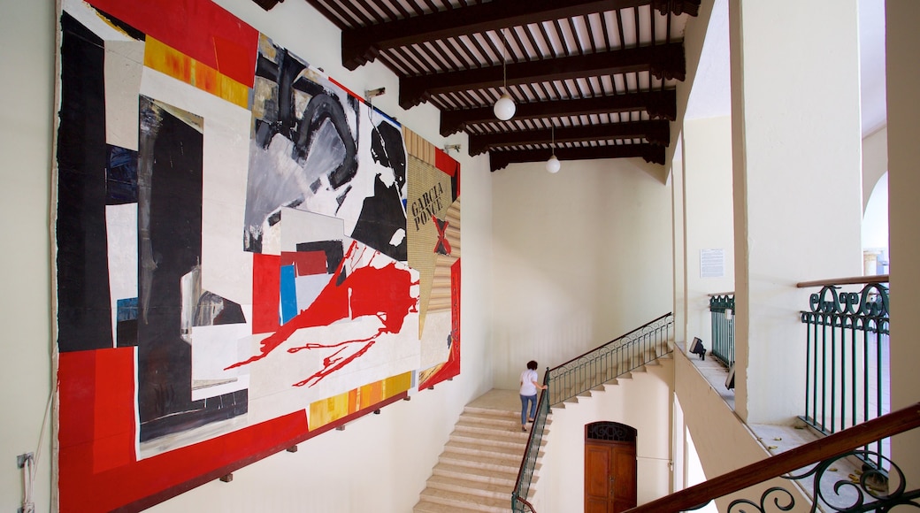 Museo Macay toont interieur en kunst en ook een vrouw