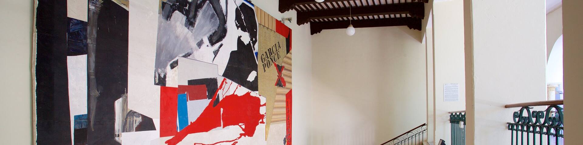 Macay Museum showing art and interior views as well as an individual femail