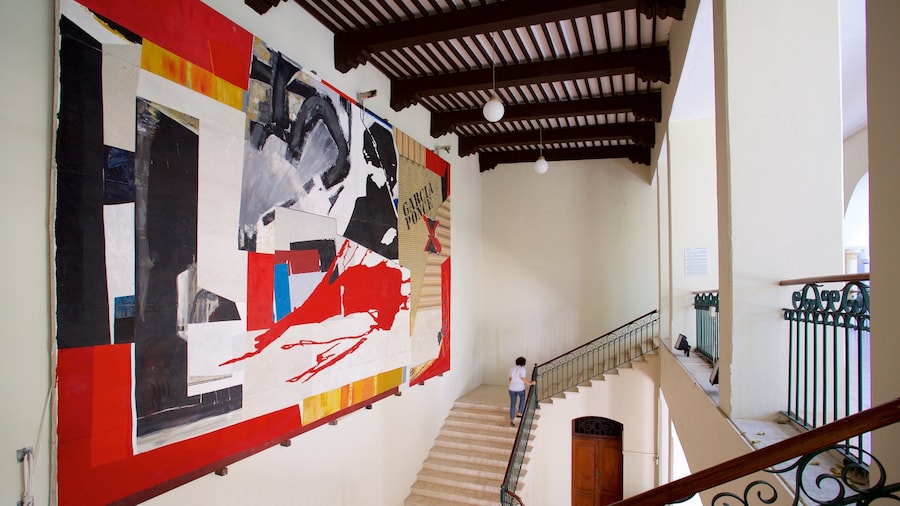 Macay Museum which includes art and interior views as well as an individual female