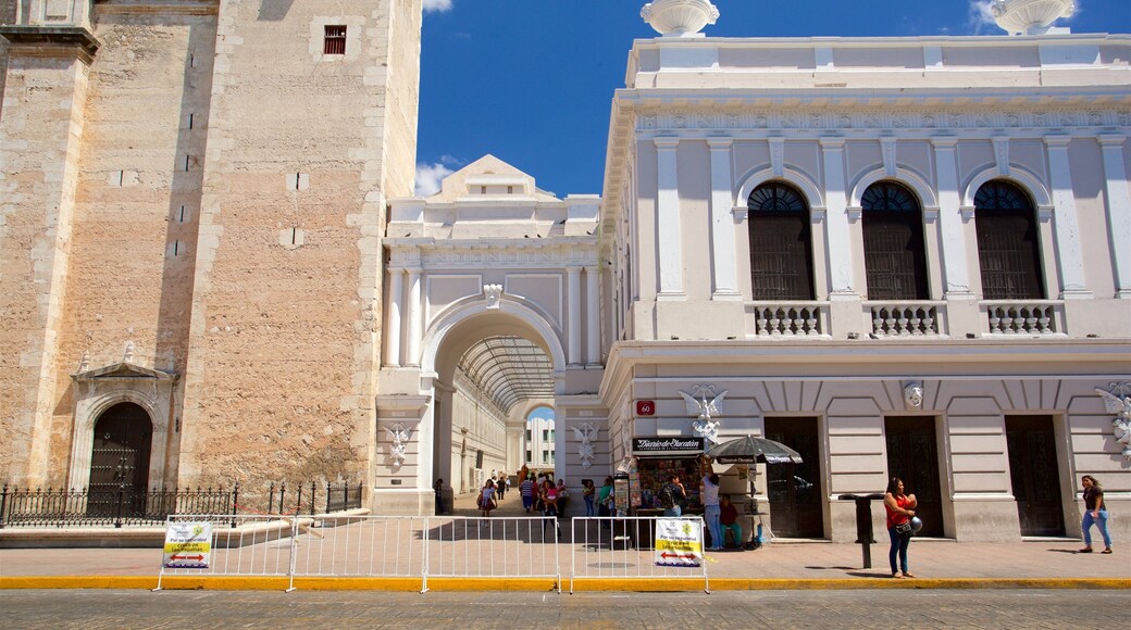 Macay Museum as well as a small group of people