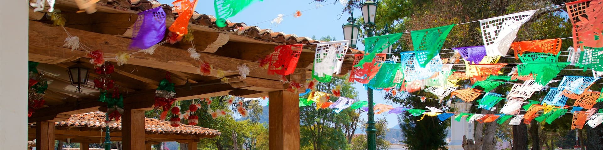 Mercado de Artesanías mostrando un parque