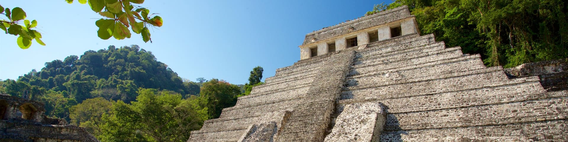 Pre-Hispanic City and National Park of Palenque showing heritage architecture
