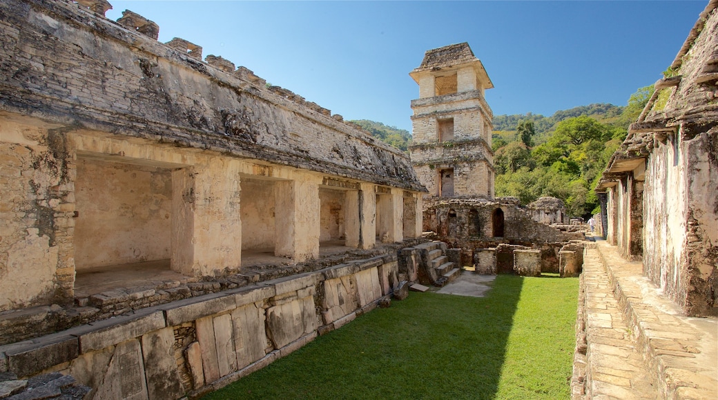 Palenques förspanska stad och nationalpark som visar historiska element
