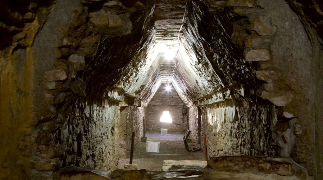 Pre-Hispanic City and National Park of Palenque showing heritage elements and interior views