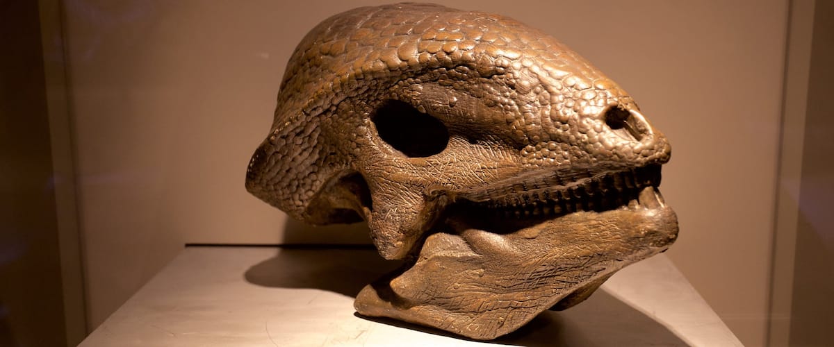 Gran Museo del Mundo Maya mostrando vistas interiores y elementos del patrimonio