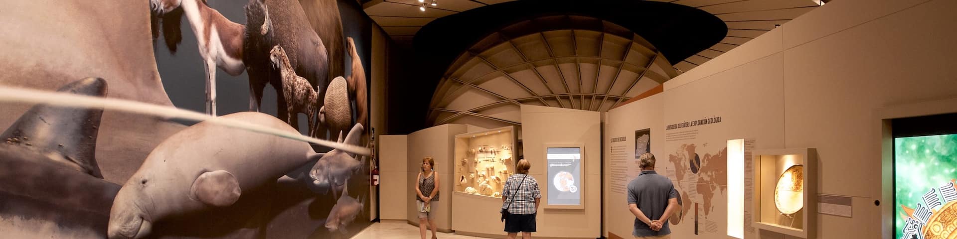 Great Museum of the Maya World featuring interior views as well as a small group of people