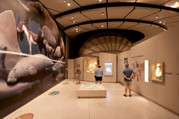 Great Museum of the Maya World featuring interior views as well as a small group of people