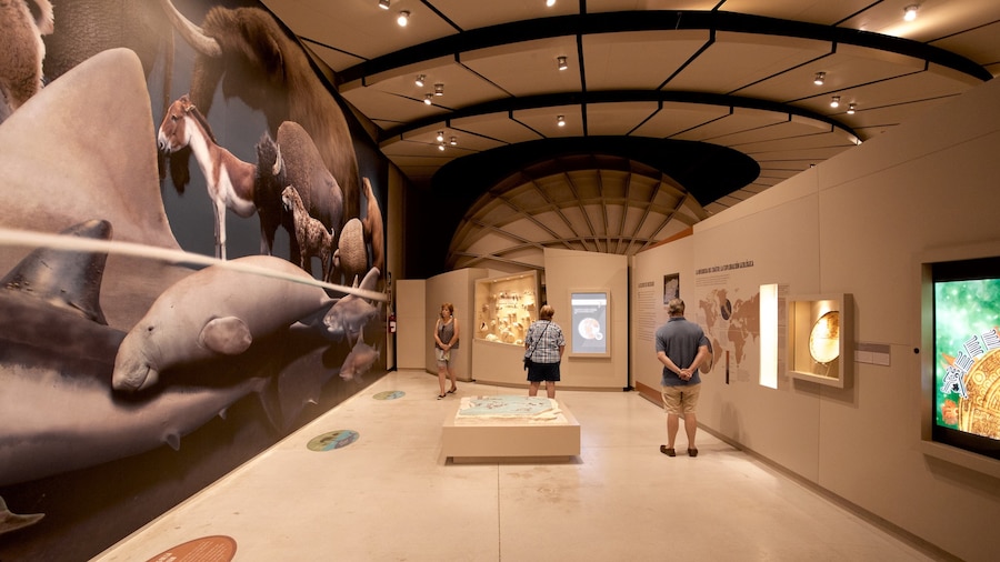 Grande Museo del Mondo Maya mostrando vista interna cosi come un piccolo gruppo di persone