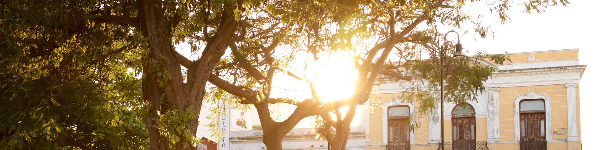 Parque de La Mejorada which includes a sunset and a park as well as a small group of people