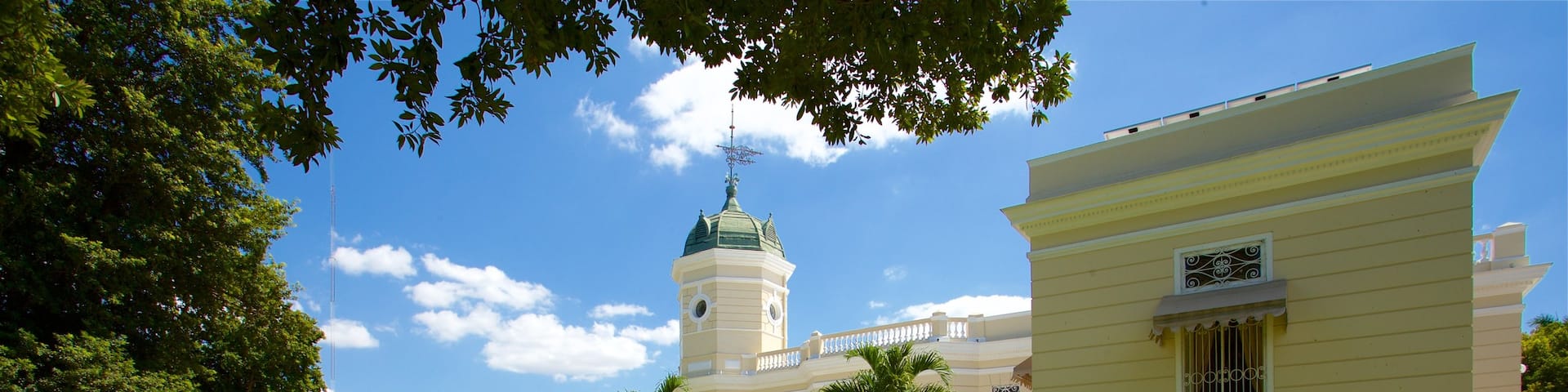 Casa Montes Molina Museum featuring a park