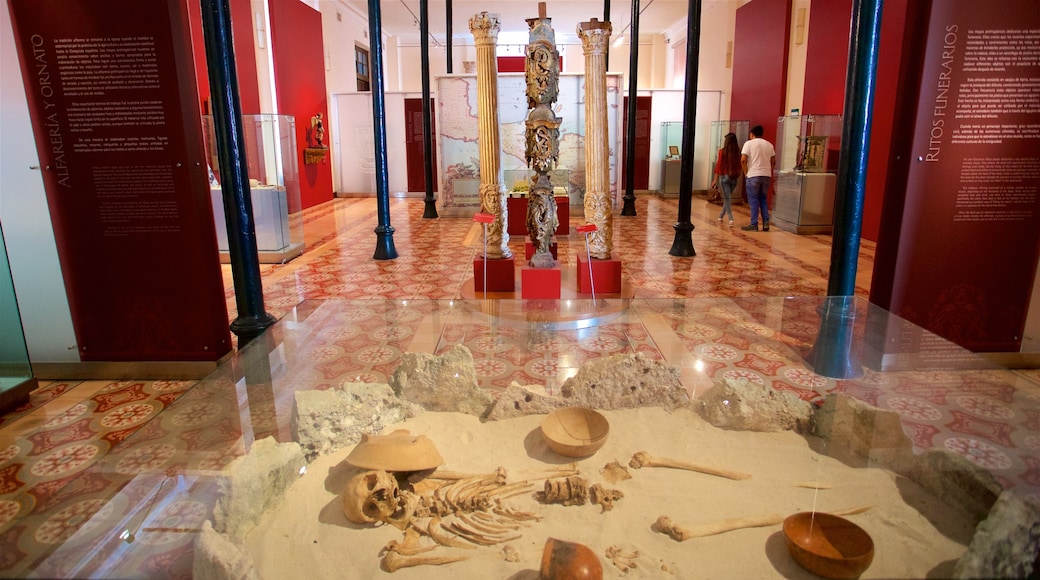 Museum of the City of Merida featuring interior views as well as a couple