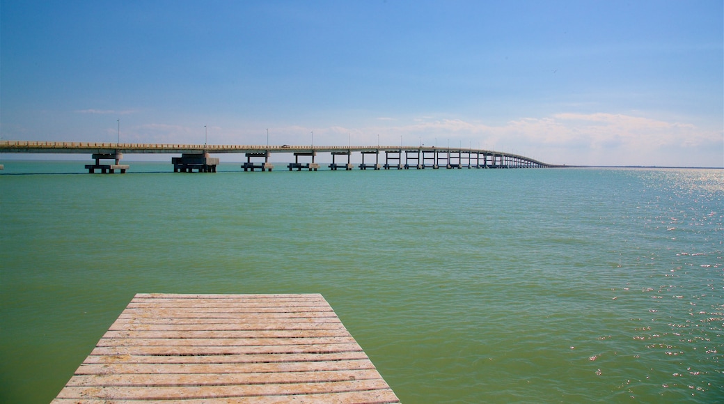 Ponte El Zacatal che include vista della costa e ponte