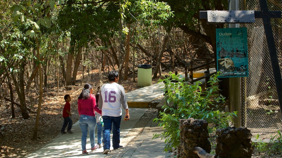 Miguel Alvarez del Toro Zoo featuring zoo animals as well as a family