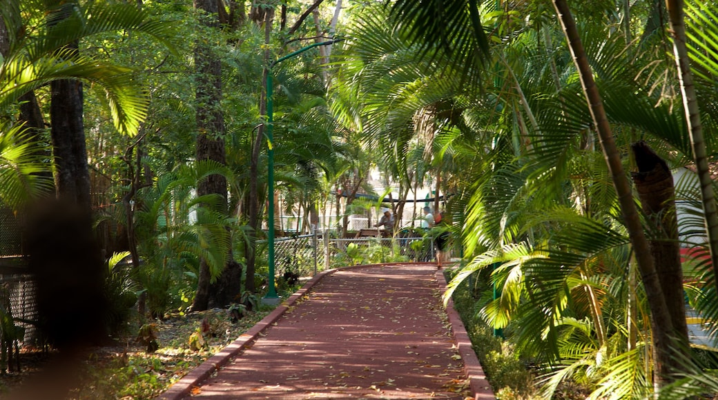 Joyyo Mayu Park featuring a garden