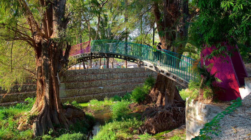 Joyyo Mayu Park which includes a bridge and a garden