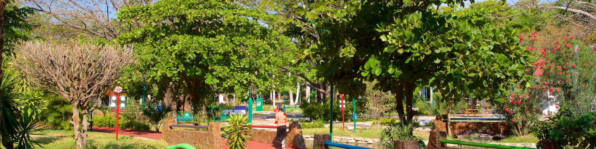 Joyyo Mayu Park showing a garden and a bridge