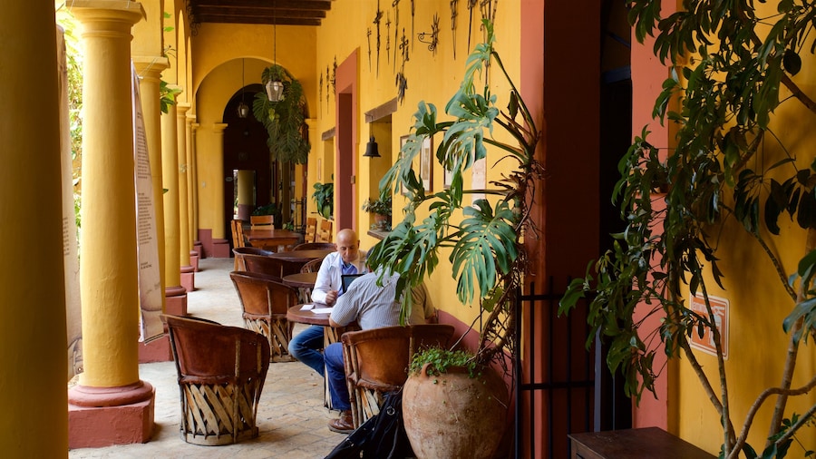 Museo cultural de Na Bolom y también una pareja