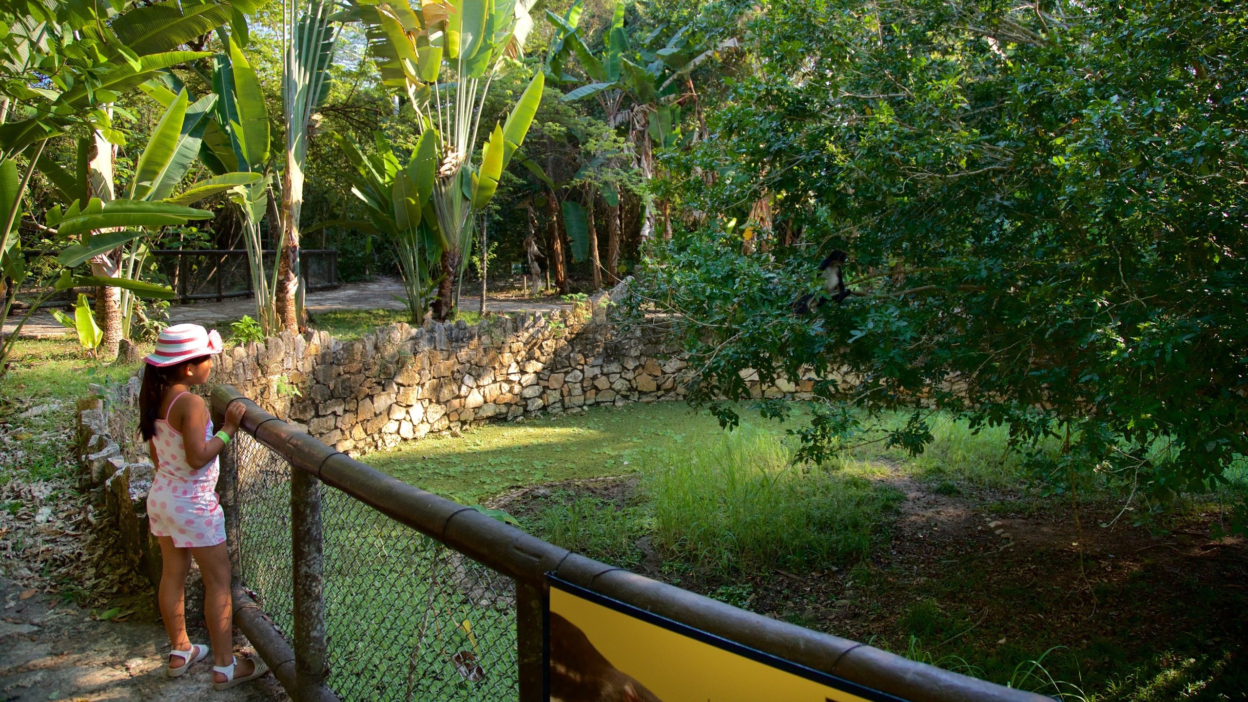Aluxes Eco Park showing zoo animals as well as an individual child