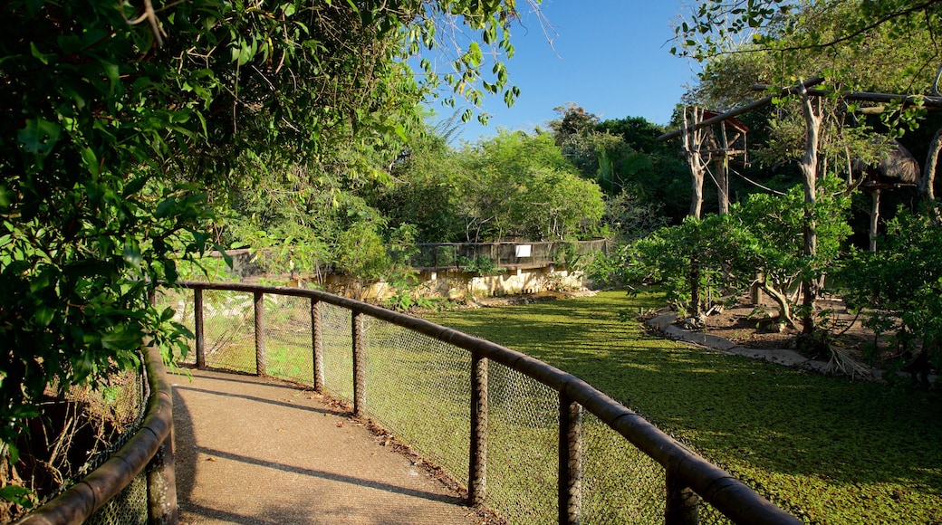 Aluxes Eco Park