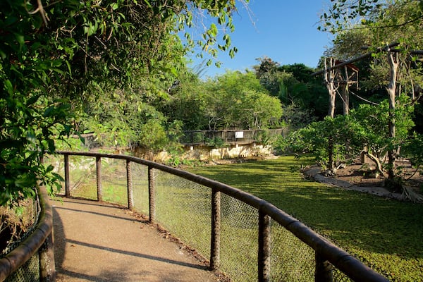 Aluxes Eco Park featuring zoo animals