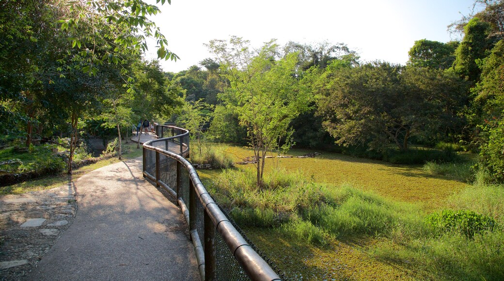 Aluxes Eco Park which includes zoo animals